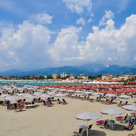 Mako - 800m From The - Happy Daire